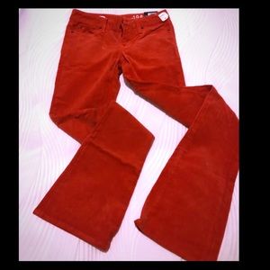 NEW Red corduroy Gap 1969 skinny bootleg pants 24